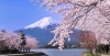 Vùng Hokkaido: Chitose - Otaru - Furano - Asahikawa Sapporo - Tokyo - Núi Phú Sĩ (Ngắm Hoa Lavender)