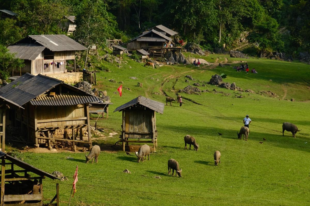 Hanoi – Moc Chau – Ta Xua – Ninh Binh – Ha Long 6 days 5 nights