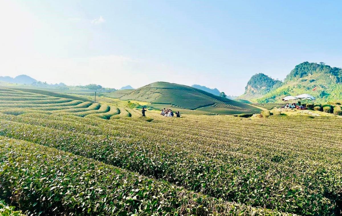 Highlights of the 5-day, 4-night Hanoi – Mai Chau – Moc Chau – Son La – Dien Bien – Lai Chau – Sapa – Hanoi