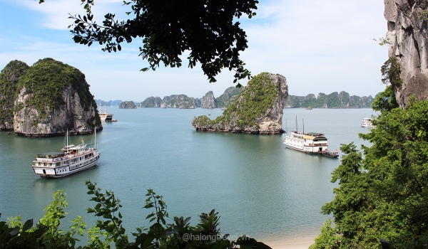 Ha Long - Ninh Binh - Hanoi 4 days 3 nights